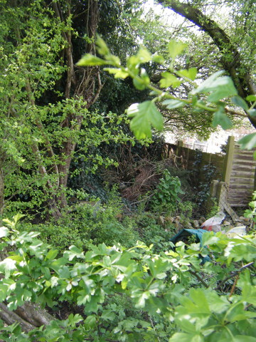 dscf5087.jpg